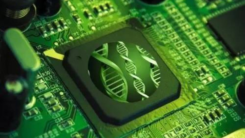 Biochips Contain A Variety Of Biosensors That Enable The Detection Of A Wide Range Of Biological Analytes.