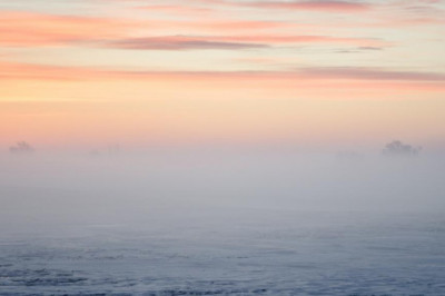 customized cakes bay location san francisco oakland formed cakes