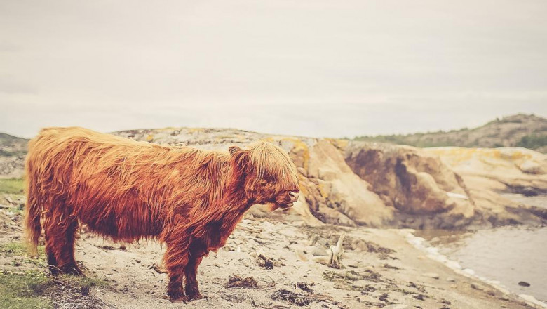 exactly how to clean glass shower doors consisting of difficult water discolorations