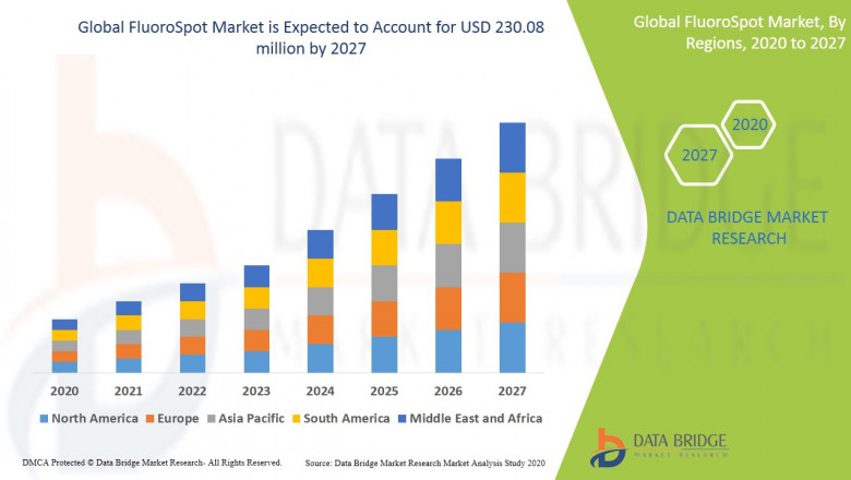 FluoroSpot Market Competitive Strategies, Advertising Trends, & Market Analysis by 2029