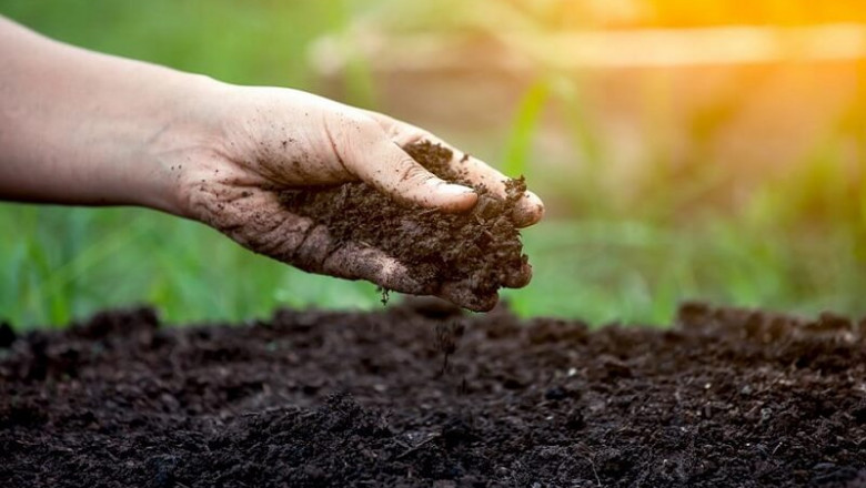 Get Potash Coating and NPK Fertilizer Coating For Plant Growth