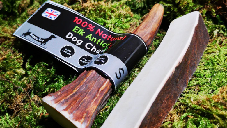 Is Your Dog Prone to Harm Their Teeth? This Antler for Dogs Is Suitable to Size