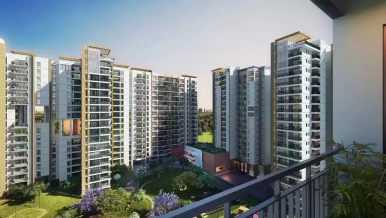Realty Focus