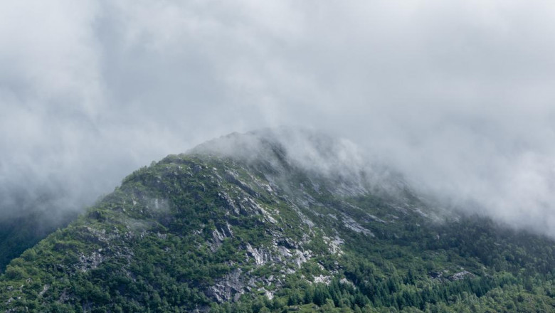 20 gifts you can give your boss if they love shrk mkfh hshrt blryd