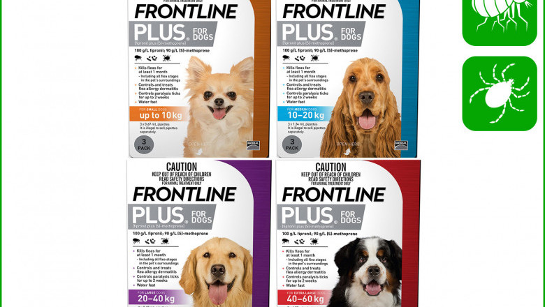 Frontline Plus Controls Flea and Tick for your Dogs