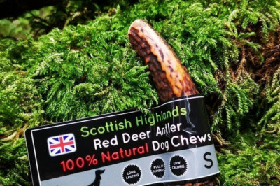 Getting Apprehensive About Going Out &amp; Obtaining Deer Antlers Dog Treats