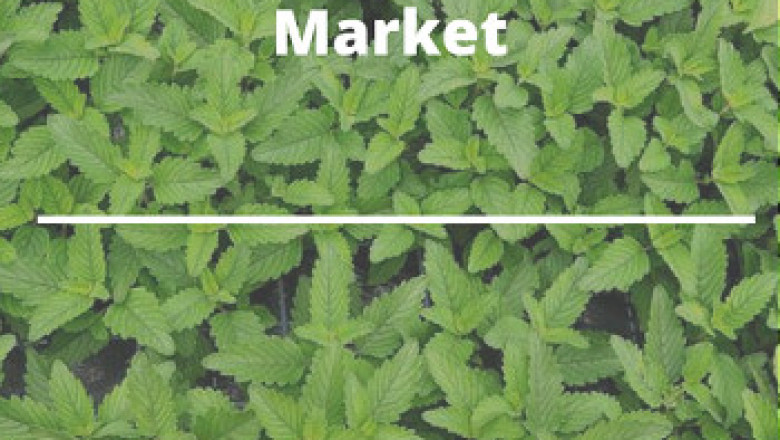 Global Plant Activators Market is estimated to reach a market size worth US1,097.9 million by 2026