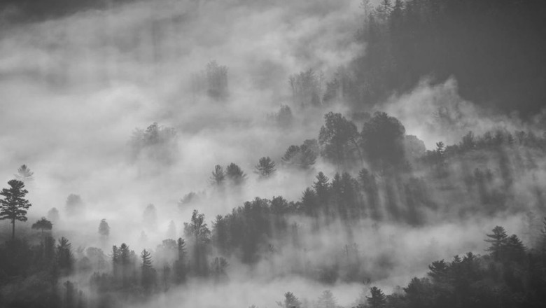 how to explain residential move to your mom