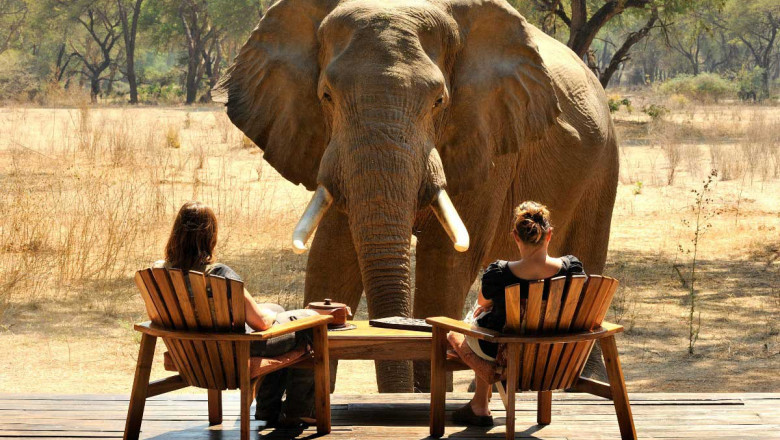LUXURY SAFARI AFRICA DESTINATIONS