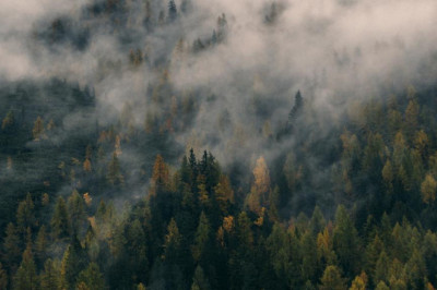 news expectations vs reality