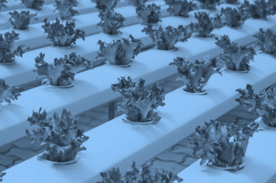Powered Agriculture Equipment Market Latest Innovations