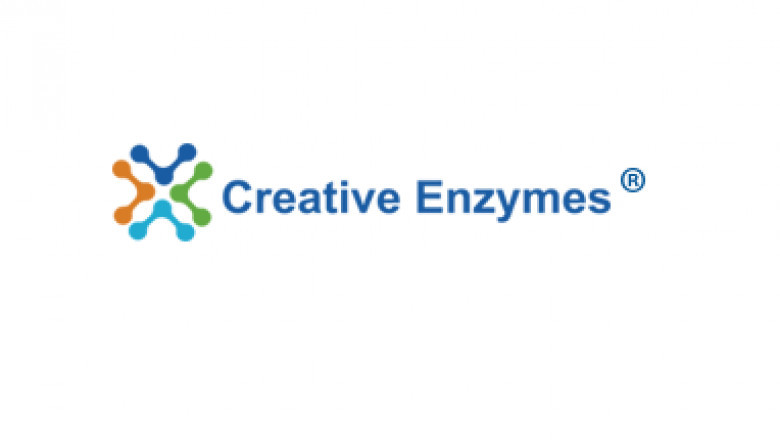 Types and Applications of Amylase
