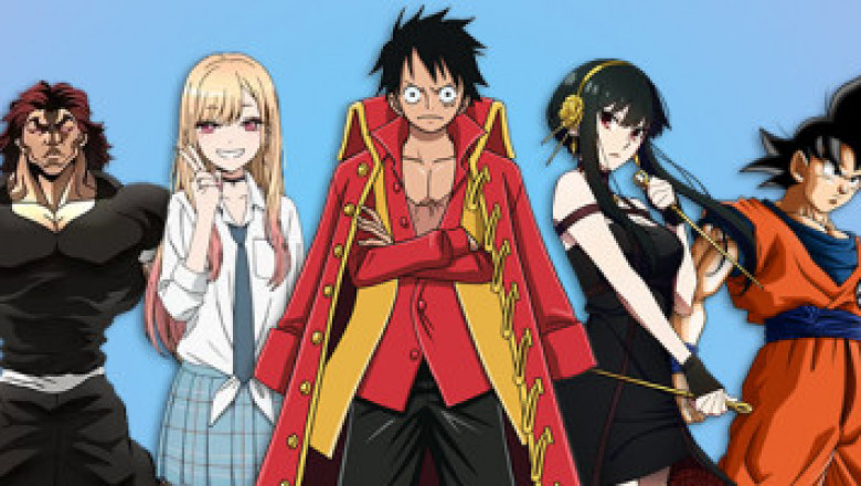 why one piece is so overrated?