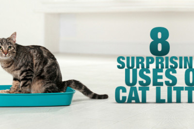 8 Surprising Uses of Cat Litter