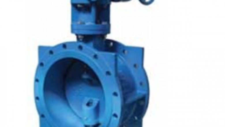 Double offset butterfly valve manufacturer in India