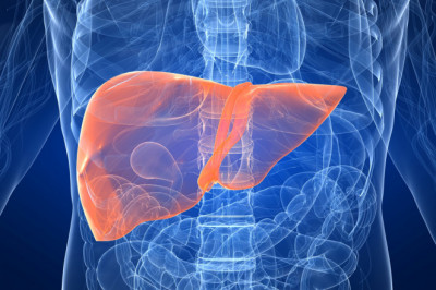 Liver cancer therapeutics Market Regional Analysis