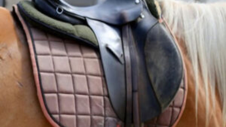 All types of dog harnesses are available at the Exporters of Saddlery Harness for Animals