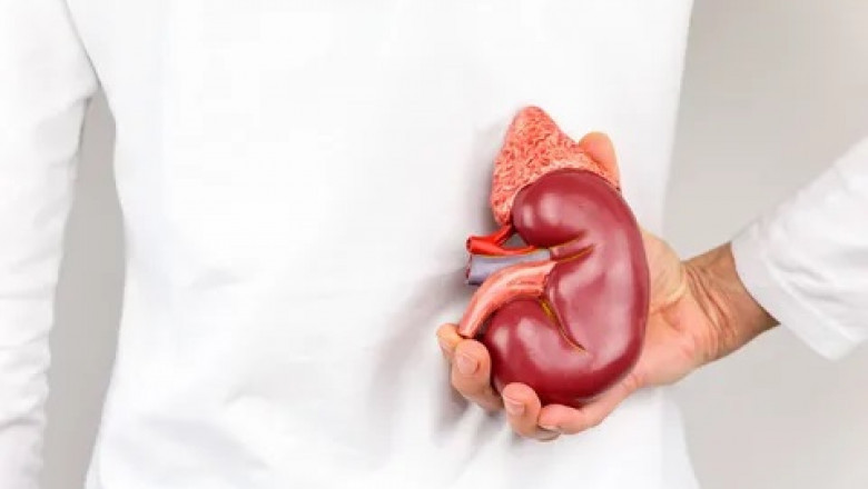 Kidney Transplant Market: Global Industry Trends, Size, Growth, Opportunity and Forecast 2022-2028