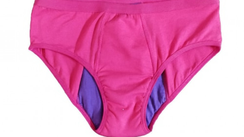Period Panties Market is Booming Worldwide