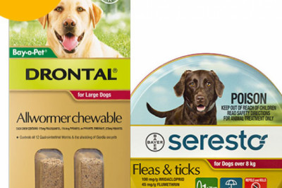 Seresto Collar + Drontal Allwormer for Dogs Over 8 Kg