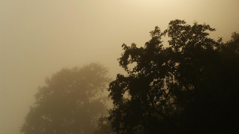 choosing an occupational in the concept of law