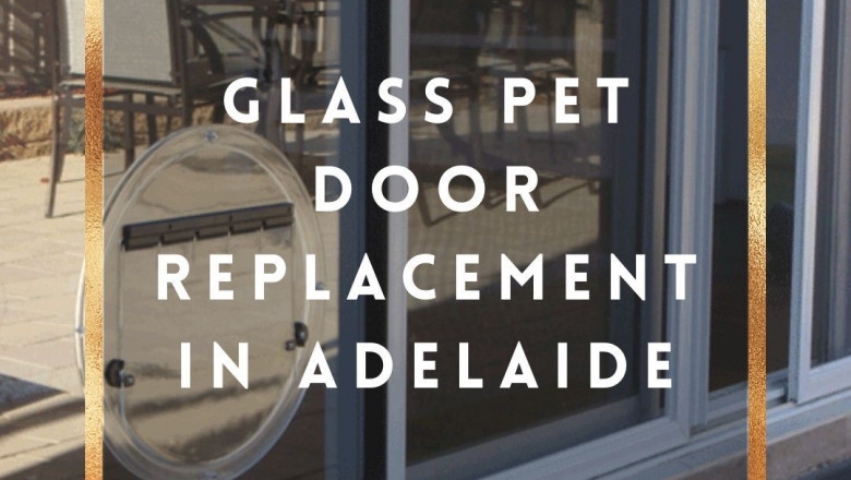 Glass Pet Door Replacement In Adelaide