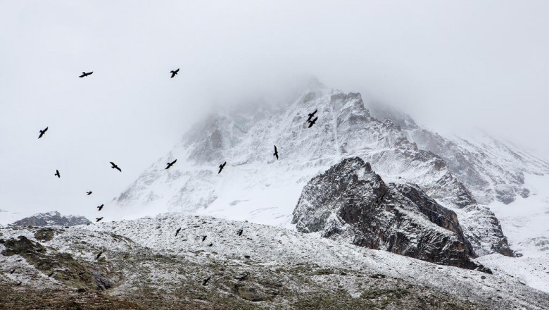 the angry child how to handle with him