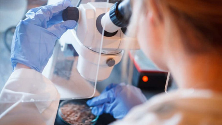 7 REASONS TO CONSIDER ASBESTOS TESTING IN DUBAI