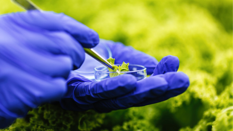 Agriculture Products Rapid Test Service Market Sales 2022, growth and trends to 2027