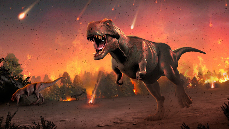 The Era Of Dinosaurs Extinction| Unfolding the truth