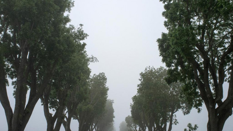 why the biggest myths about buy oeganic donkey milk may actually be right