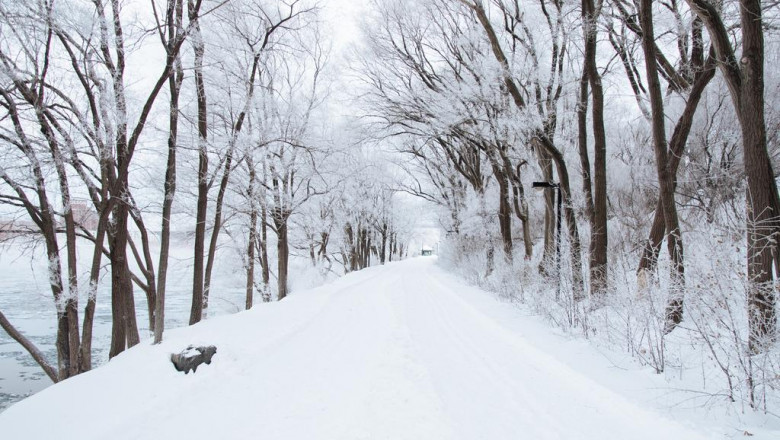 an introduction to meogtwigeomjeungsaiteu