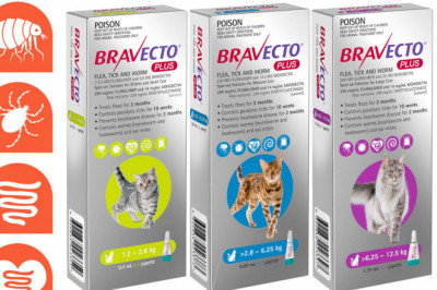 Bravecto Plus complete parasitic protection  for Cats