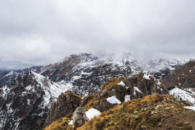 knowing need to take toddler to the psychologist