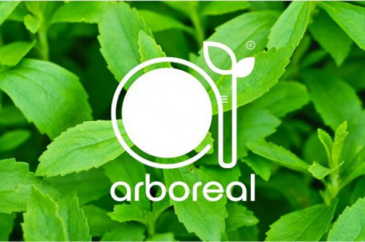 The Sweet Success of Stevia: Forecast and Insights