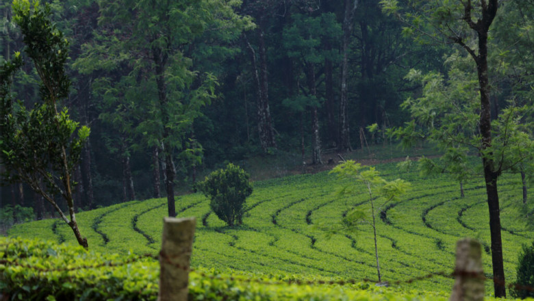 Best Landscape photographers in Pondicherry