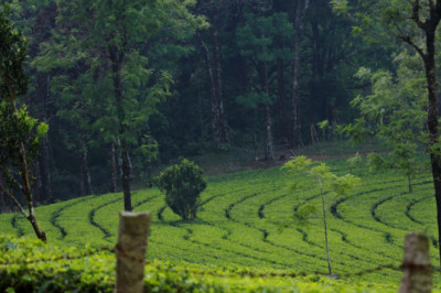 Best Landscape photographers in Pondicherry