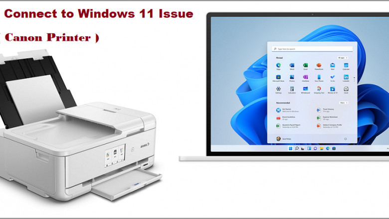 [Fixed] Can’t Connect Canon Printer to Windows 11