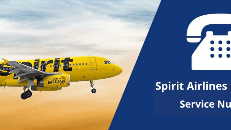 How do you speak to a real person at Spirit Airline in 2022?