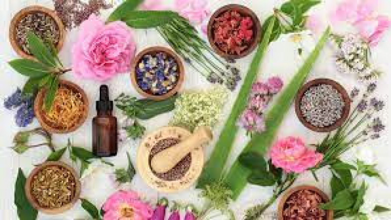 Natural and Organic Beauty Products Market 2022 – Increasing Demand, Growth Analysis and Future Outlook