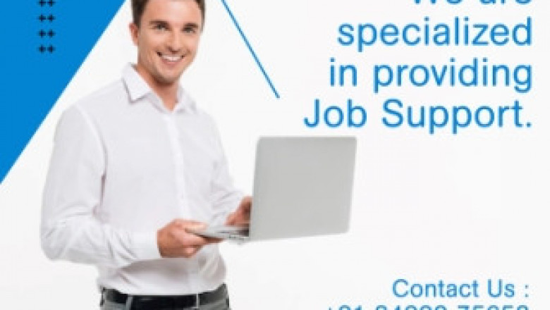 Online proxy job support services for USA and UK-TPS4OPT