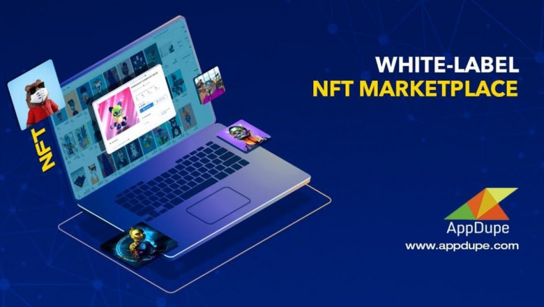 Where can I get a white-label NFT marketplace solution?