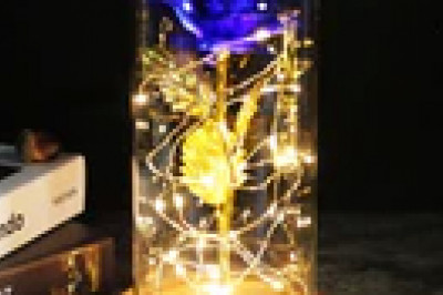 Enchanted Sparkly Rose