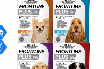FRONTLINE PLUS for Dogs 3 Pipettes Flea and Tick Control