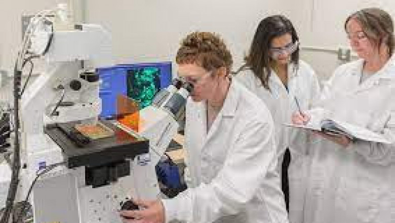 Infectious Diseases In Vitro Diagnostics Market Report Status And Outlook 2022-2027