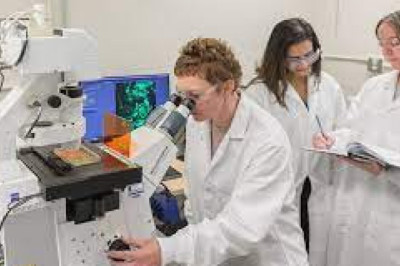 Infectious Diseases In Vitro Diagnostics Market Report Status And Outlook 2022-2027