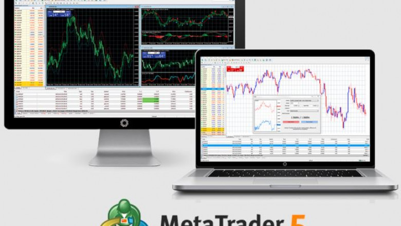 Everything About Forex Trading in Detail