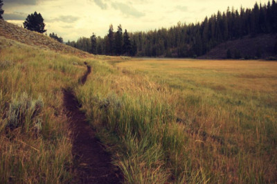 15 best eskorts bloggers you need to follow