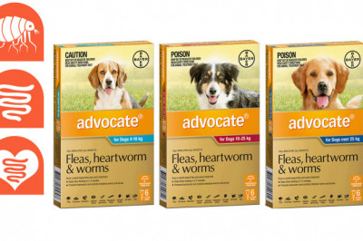 ADVOCATE- Flea, Heartworm & Worm Treatment for Dogs