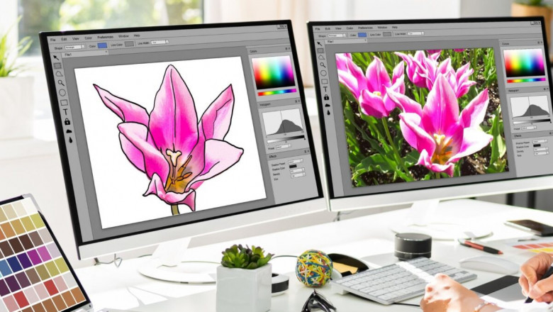 Change Your Game as An Interior Designer with Hex Color Picker